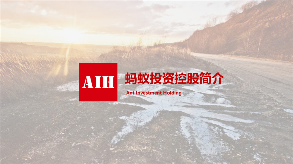 戰略合作(zuò)夥伴：螞蟻投資控股